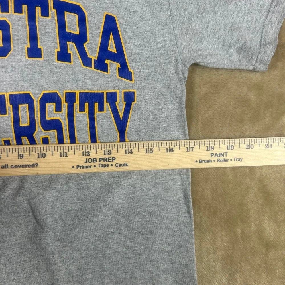 Champion Hofstra University Mens Small Gray Graphic T-Shirt Short Sleeve Tee - Picture 3 of 6